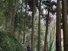 -青城山