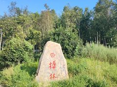 -长春市南湖公园