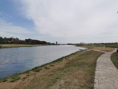 -春花秋色城市公园