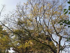 -南京市江宁方山