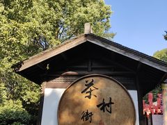 -天目湖山水园