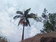 -西昌邛海宾馆