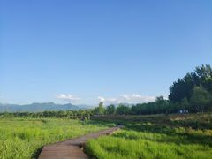 -洨河生态公园