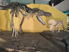 -湖南省地质博物馆