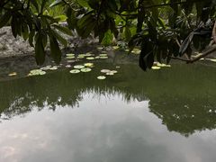 -成都市活水公园