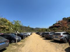 -广州白江湖森林公园