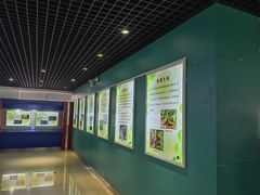 -上海昆虫博物馆