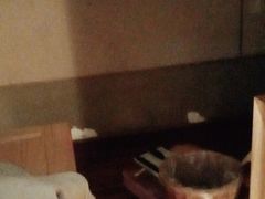 -御手国医·古法经络调理(光华店)