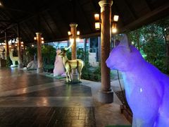 -清迈夜间动物园