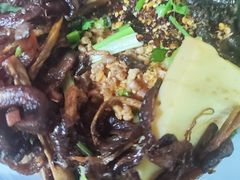 -昆明动物园