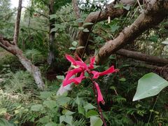 -桤木河湿地公园