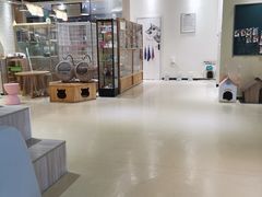 -藏猫猫咖啡主题馆(中央大道店)