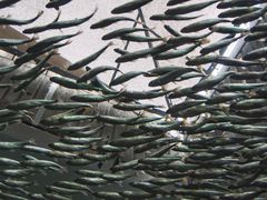 -西雅图水族馆
