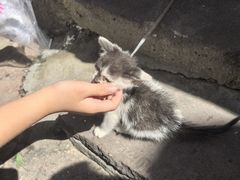 -鸣鹤古镇