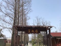 -上海长兴岛郊野公园