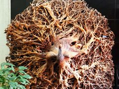 -长沙简牍博物馆