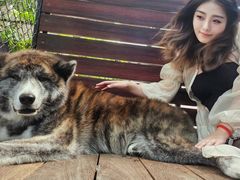-TrueLove @ Neverland (Husky Cafe)