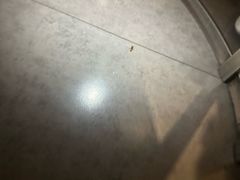 -阳光地带钻石KTV(南阳店)