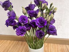 -循礼门鲜花花市(武汉循礼门店)