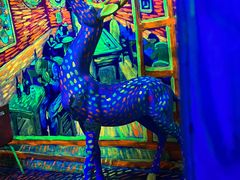 -上海梵高星空艺术馆(南京路旗舰店)