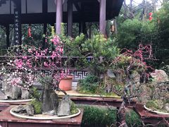 -成都杜甫草堂博物馆