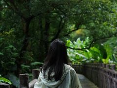 -广州市石门国家森林公园