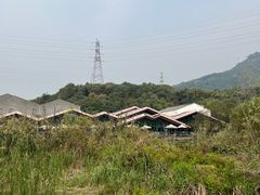 -西湖风景区-江洋畈生态公园