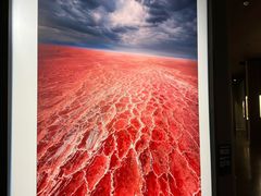 -罗红摄影艺术馆