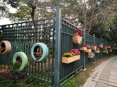 -东莞植物园