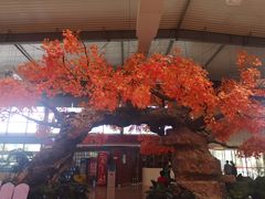 -君临七星生态酒店