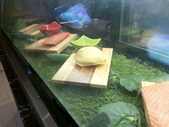 三文鱼-嘉兴华美达酒店(秦逸路店)