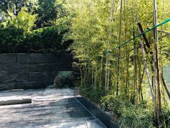 -外滩悦榕庄·海怡西餐厅