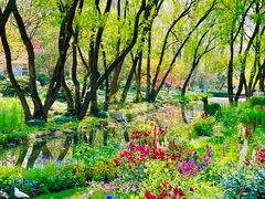 -上海共青森林公园