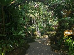 -绿光森林餐厅