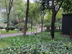 -唐城墙遗址公园
