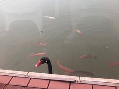 -春晖园度假酒店温泉