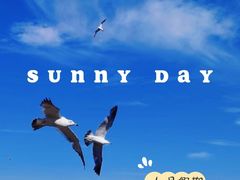 -巧克力渔家.小船海鲜家常菜(万平口店)