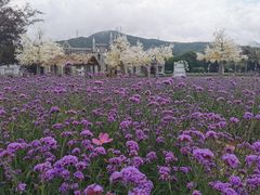 -玫瑰海岸文化旅游度假区