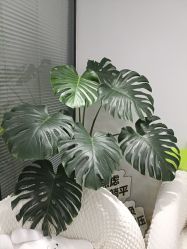 -凡碧诗毛孔清洁收细