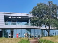 -猫的天空之城概念书店(北戴河蔚蓝海岸店)