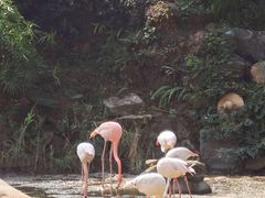 -石排湾郊野公园