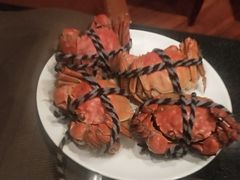 -上海龙之梦万丽酒店