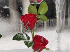 -沈阳奥体冰雪嘉年华