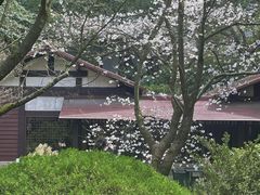 -中国茶叶博物馆(双峰馆区)