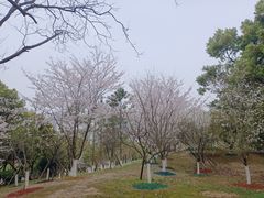 -堤角公园