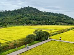 -风云岭森林公园