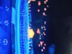 -鼎盛王朝康熙大典实景演出