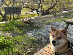 -北马山庄植趣咖啡