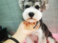 -宠福鑫康馨动物医院·骨科·眼科