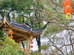 -乌山风景区